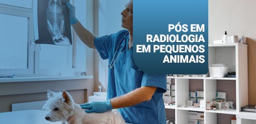 Pós-Graduação em Radiologia em Pequenos Animais: As facilidades do ensino online