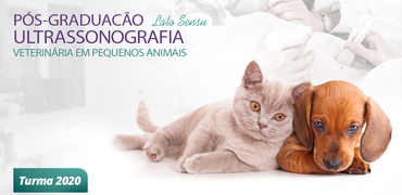 Pós-graduação Lato Sensu em Ultrassonografia Veterinária