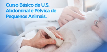 Curso Básico Ultrassonografia Veterinária Abdominal e Pélvico em Pequenos Animais