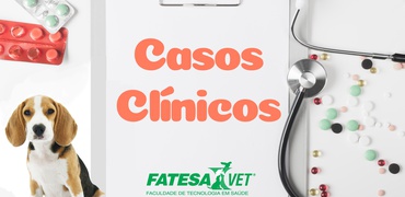 Casos clínicos: Emagrecimento progressivo, evoluindo há 2 dias para anorexia e vômitos