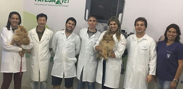 Ultrassonografia Básica em Clínica Médica de Pequenos Animais 