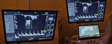 Curso FATESA: Doppler de Artérias Oftálmicas: Inovação e Precisão no Diagnóstico Materno-Fetal