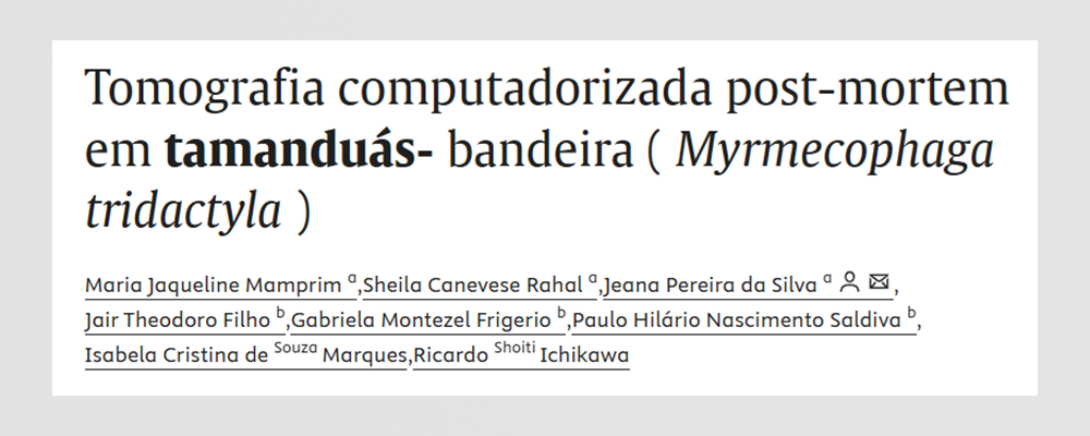 Blog Imagem 2