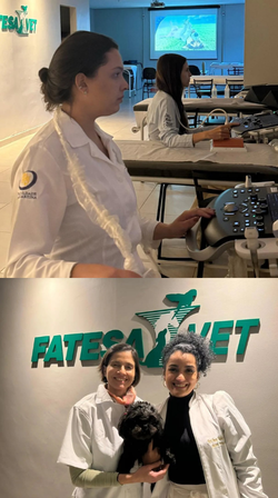 Pr&aacute;tica Veterin&aacute;ria FATESA